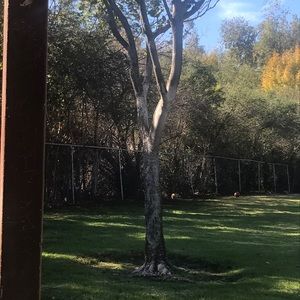 Meet your Posher, Lina